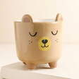 Sass & Belle Mini Bear Sitting Planter with no plant inside against beige backdrop