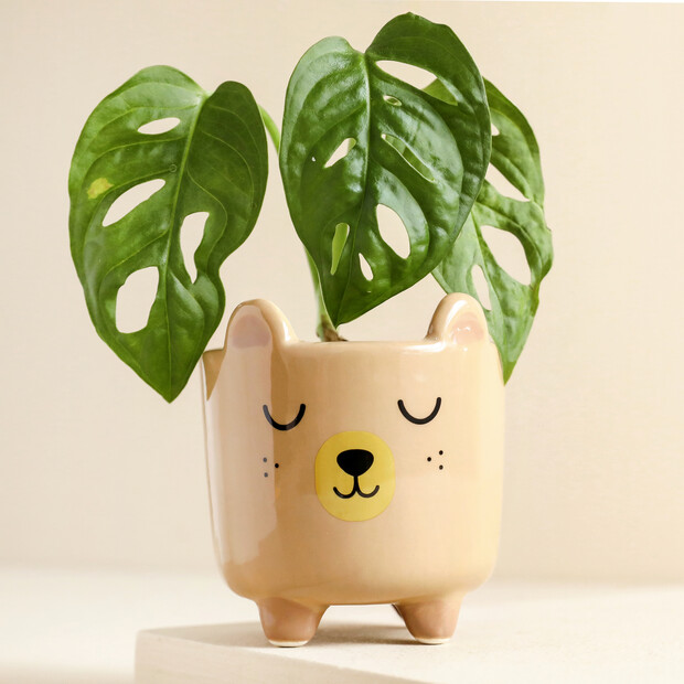 Sass & Belle Mini Bear Sitting Planter