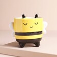 Sass & Belle Mini Bee Sitting Planter against neutral coloured backdrop on raised surface