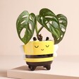 Sass & Belle Mini Bee Sitting Planter with plant inside against beige background