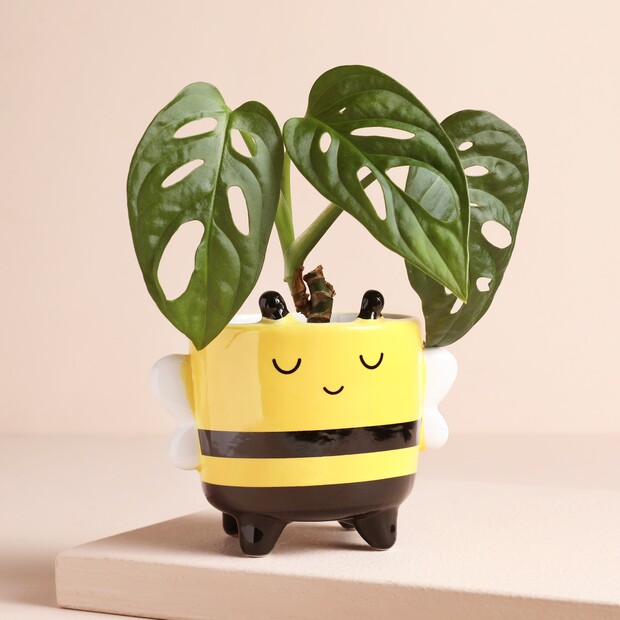 Sass & Belle Mini Bee Sitting Planter Sass & Belle Mini Bee Sitting Planter