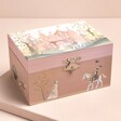 Pink Princess Musical Jewellery Box on pink surface