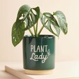 Lifestyle Shot of Dark Green Plant Lady Planter with Plant Inside 