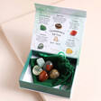 Leo Zodiac Gemstone Set with stones inside open showing graphic on lid 