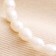 Close Up of Freshwater Pearl Anklet in Gold