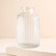 Empty Clear Glass Dimpled Bottle Vase on a Beige Background
