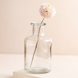 Clear Glass Mini Bottle Vase