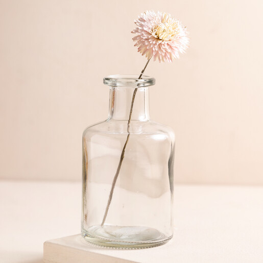 Clear Glass Bottle Vase with a single, white flower.