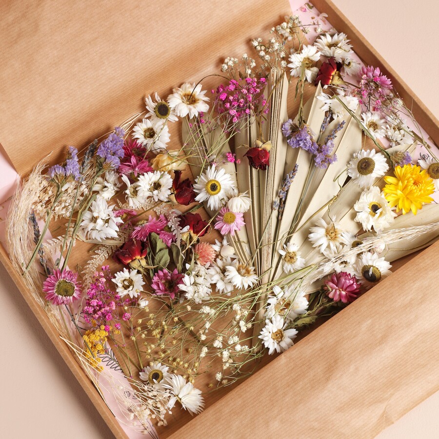 Assorted Dried Flower Offcuts inside of packaging against beige background
