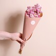 Model Holding Dried Pink Daisy Bunch