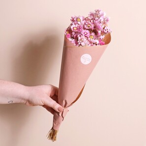 Dried Pink Daisy Bunch