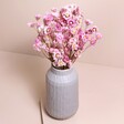 Dried Pink Daisy Bunch in Vase