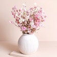 Sunray Daisy Dried Flower Bunch arranged inside of round vase against beige backdrop