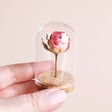 Model holding Mini Rose Dried Flower Glass Dome against neutral backdrop