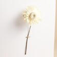 Close up of flower on Personalised Single Stem White Greetings Card