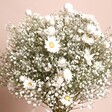 Close up of flowers in Dorothy Dried Flower Bridal Wedding Bouquet