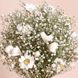 Close up of flowers in Dorothy Dried Flower Bridesmaid Wedding Posy