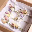 Margot Set of 6 Dried Flower Wedding Buttonholes arranged in box