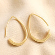 Lisa Angel Ladies' Small Teardrop Hoop Earrings in Gold