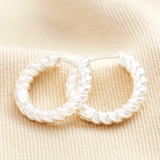 Twist Hoop Earrings in Silver on Beige Fabric