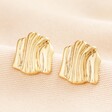 Driftwood Style Ridged Stud Earrings in Gold on a neutral colour background