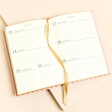 Open Page of 2026 Red and Pink Striped Diary