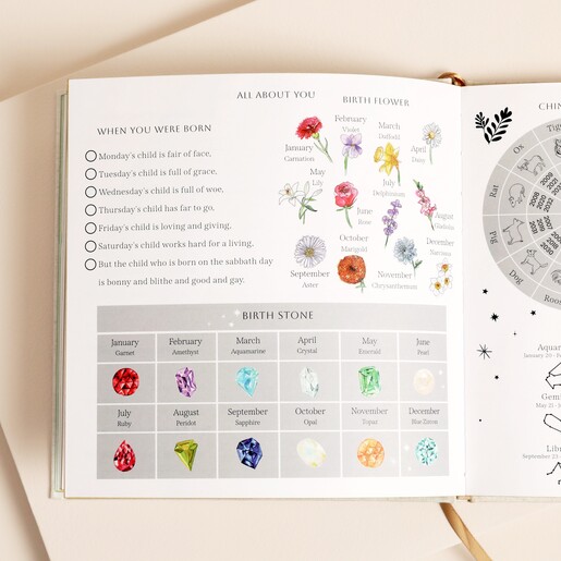 Personalised The Story of You Baby Book