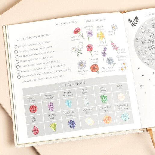 The Story of You Baby Book he Story of You Baby Book