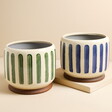 Burgon & Ball Green Stripe Indoor Pot