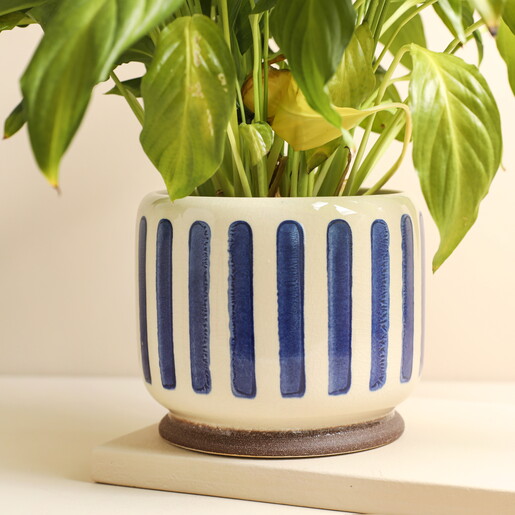 Burgon & Ball Blue Stripe Indoor Pot  Burgon & Ball Blue Stripe Indoor Pot