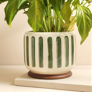 Burgon & Ball Green Stripe Indoor Pot