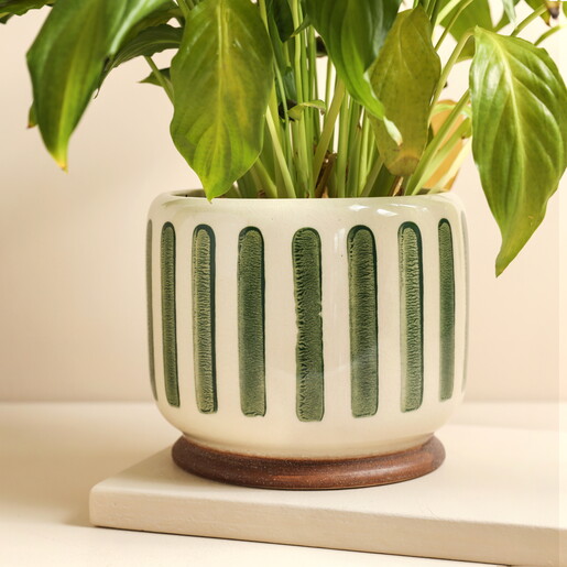 Burgon & Ball Green Stripe Indoor Pot