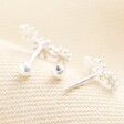 Estella Bartlett Triple Flower Stud Earrings in Silver