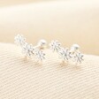 Estella Bartlett Triple Flower Stud Earrings in Silver on a neutral background