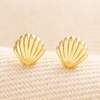 Sterling Silver Shell Stud Earrings in Gold