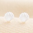 Sterling Silver Shell Stud Earrings in Silver