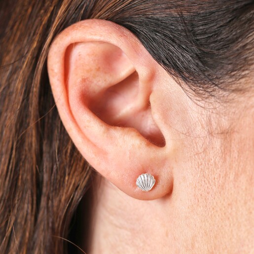 Sterling Silver Shell Stud Earrings in Silver
