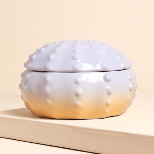 Close Sea Urchin Ombre Lavender Candle