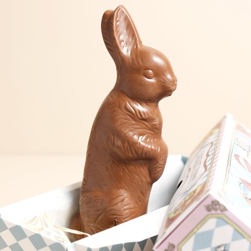 The Chocolate Gift Company The Circus Bunny Chocolates