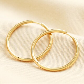 Stainless Steel Medium Hoop Earrings in Gold