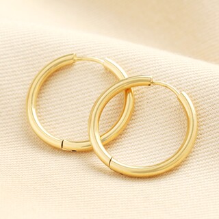 Stainless Steel Small Hoop Earrings in Gold