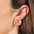 Close Up Model Shot of Large Pink Daisy Stud Earrings in Gold on Model