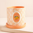 A mini ceramic planter in a peachy-pink