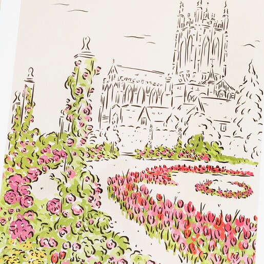 Close Up of Jenna Crush Abbey Gardens Bury St Edmunds A3 Print 
