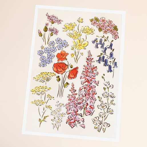 Jenna Crush Garden Flowers A3 Print An A3 print with colourful English garden flowers