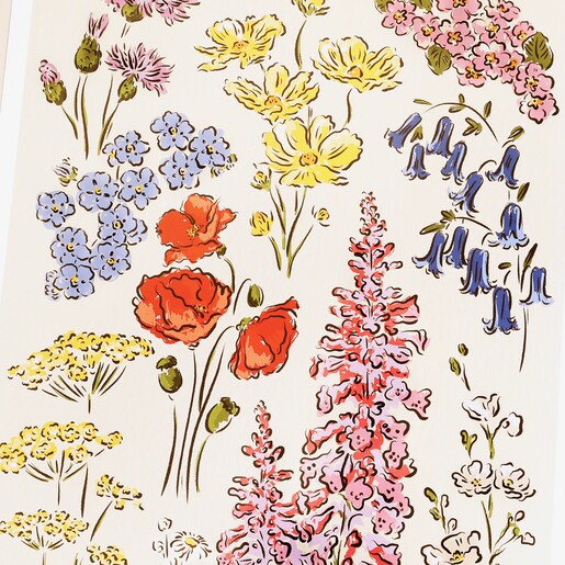 Close Up Close Up of Jenna Crush Garden Flowers A3 Print