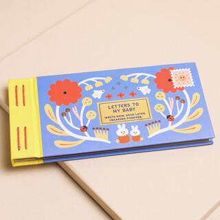 Letters To My Baby Book