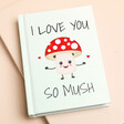 I Love You So Mush Book on a neutral background