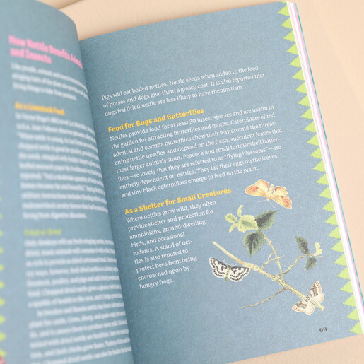 Opened Page of Nettle Power Book