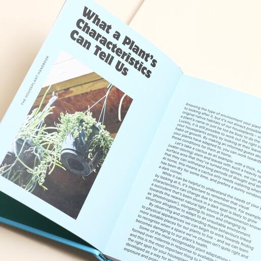 The Houseplant Handbook Inside